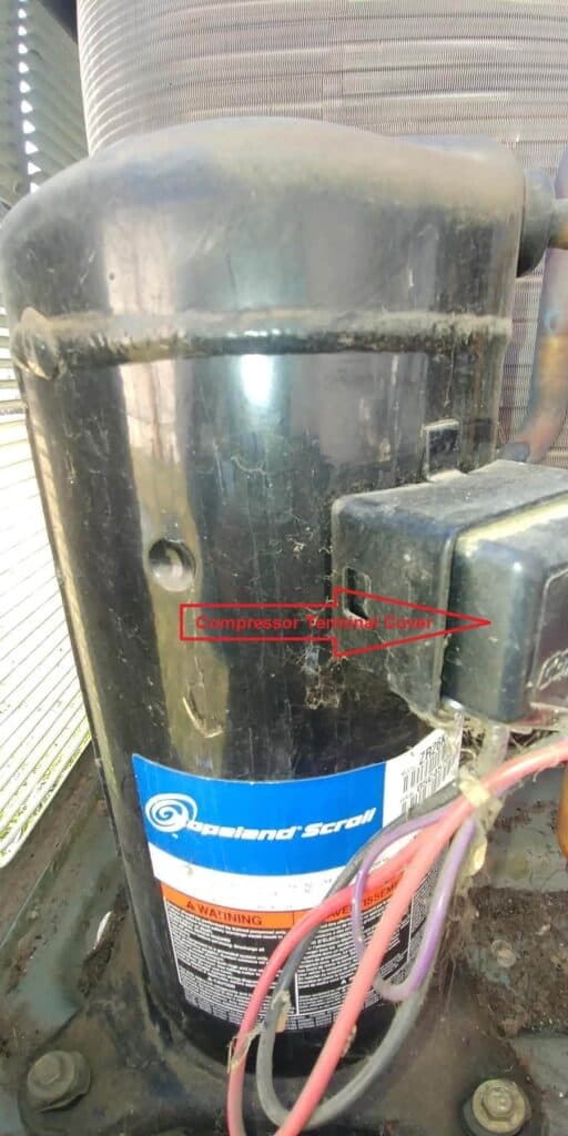 Energize padrona servizio what causes ac compressor to explode Cupo