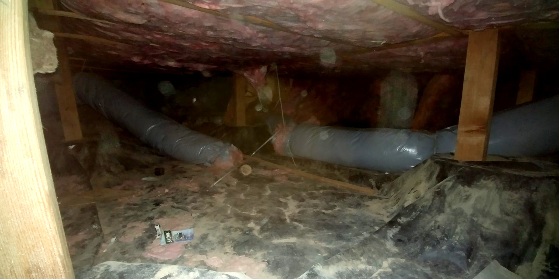 Flexible crossover ductwork under a manufactured home, torn into by cats and rats living in the crawl space.